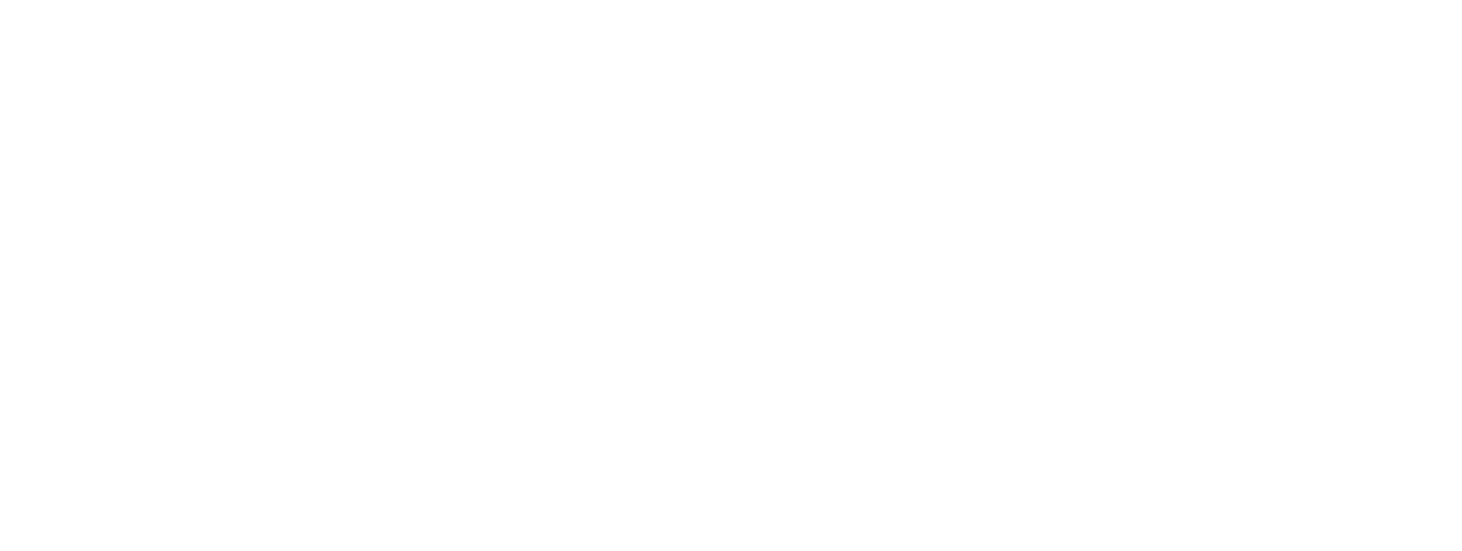 nicholls plumbing logo upscaled white